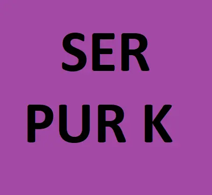 Service 20 Lb Purple K Fire Extinguisher