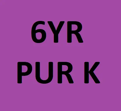 [SM-5010] 6 Yr Maintenance 20 Lb Purple K Fire Extinguisher