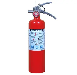 Victory 2.5 lbs ABC Fire Extinguisher